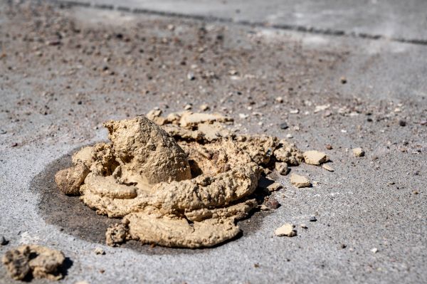 Cost of Driveway Slab Leveling in Mount Dora